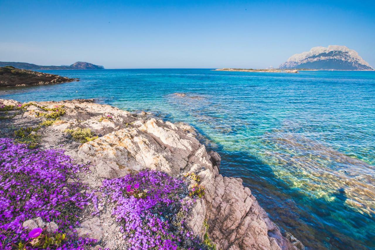 Il Faro Di Molara 4* Porto San Paolo (Sardinia)